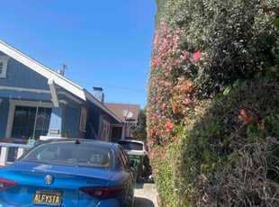 Bush Trimming by William Mendoza for Nicole Y. in Los Angeles, CA