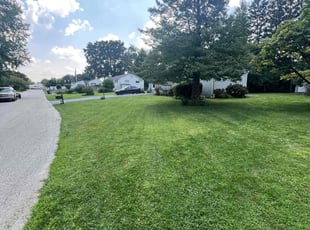 Kristen S.'s Lawn Mowing Service service result