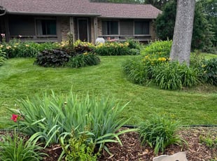 Wilma T.'s Lawn Mowing Service service result