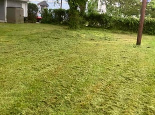 Neva B.'s Grass Cutting service result