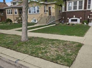 Chris Q.'s Lawn Mowing Service service result