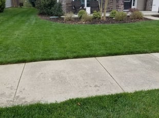 Jessica B.'s Lawn Maintenance service result