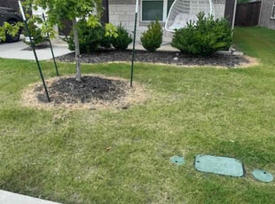 Naomi C.'s Flower Bed Weeding service result