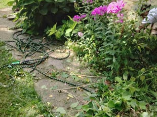 Weeding by Ronald Brown for Rebecca F. in Indianapolis, IN