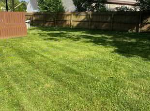 Leaf Removal by Jeffrey Abbott for George L. in Louisville, KY