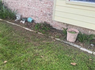 Bush Trimming by Patrick Pickens for Barbara Ann P. in Houston, TX