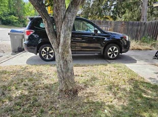 Bush Trimming by Scott Ellis for Zachary C. in Boise, ID