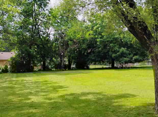 Anuj U.'s Grass Cutting service result