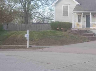 Leaf Removal by Vess Schine for Nicole A. in Kansas City, MO