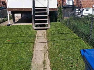 Stephen L.'s Yard Cutting service result