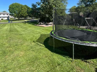 Carol T.'s Lawn Maintenance service result