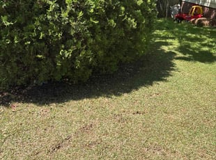 Landscaping by Shawn Palmer for Shatearra b. in Jacksonville, NC