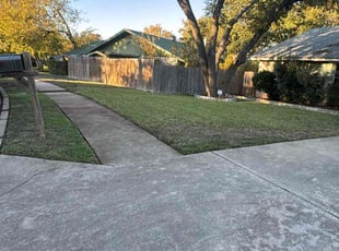 Lisa H.'s Lawn Service service result
