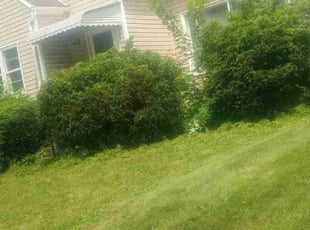 Bush Trimming by Peter Conley for Frank B. in Streetsboro, OH