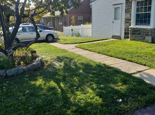 Jacqueline F.'s Lawn Service service result