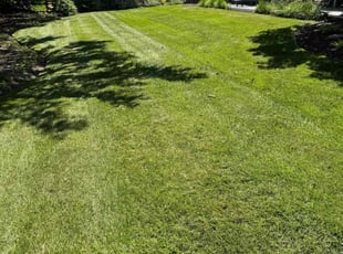 Kristen R.'s Lawn Service service result