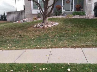 Leaf Removal by MICHAEL OFLAHERTY for Kenny B. in Omaha, NE