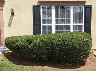 Bush Trimming by Hugo lopez for Nikki M. in Kennesaw, GA