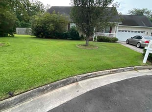 Lee G.'s Grass Cutting service result