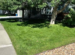 Bill C.'s Lawn Care service result