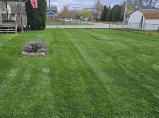 Tammy J.'s Yard Cutting service result
