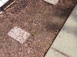 Cleanups by Laura Olivares for Brittany B. in Lenexa, KS