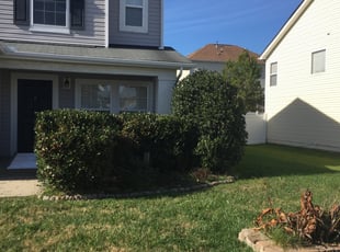 Bush Trimming by Tray Taylor for Ed R. in Raleigh, NC