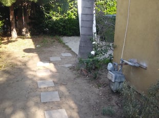 Bush Trimming by Damian Cornelious sr for Bo H. in Los Angeles, CA