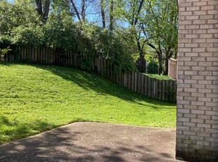 Roland F.'s Lawn Care service result