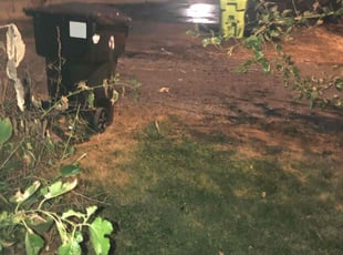 Mary J.'s Leaf Removal service result