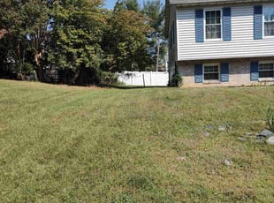 Rain H.'s Lawn Mowing service result