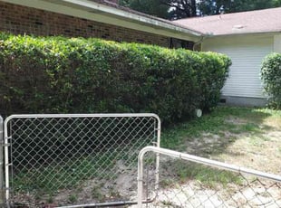 Shamiah C.'s Bush Trimming service result