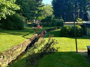 Dylan S.'s Lawn Mowing Service service result