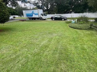 Cassandra J.'s Lawn Mowing Service service result