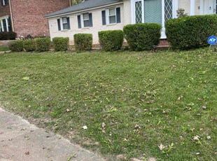 Bush Trimming by Keionna Robinson for Nakitia s. in St. Louis, MO