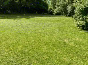 Janice H.'s Lawn Maintenance service result