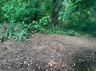 Leaf Removal by Taurus Coates for Sandra H. in Clarkston, GA