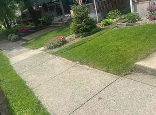 Teisha M.'s Lawn Service service result