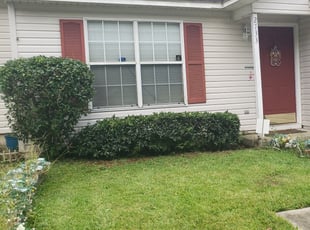 Bush Trimming by Jeffrey Gaines for Denise P. in Tallahassee, FL