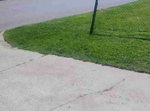 Billie m.'s Lawn Care service result