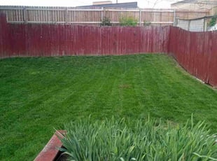 Roland F.'s Grass Cutting service result