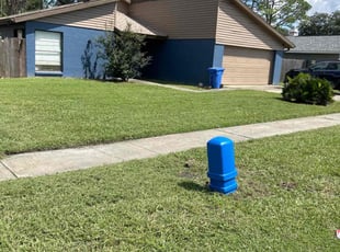 Jen C.'s Lawn Mowing service result