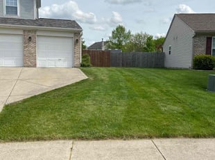 Mark S.'s Lawn Care service result
