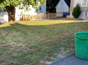 Cindy T.'s Lawn Mowing service result