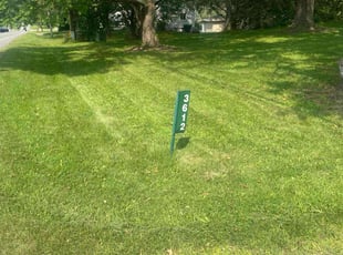 Nhan T.'s Lawn Mowing Service service result