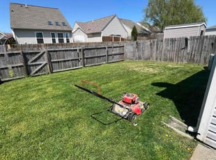 Charlee D.'s Lawn Mowing service result