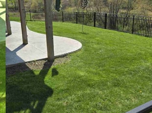 Sophia G.'s Lawn Care service result