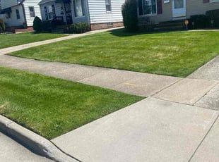 Laverne M.'s Lawn Mowing service result