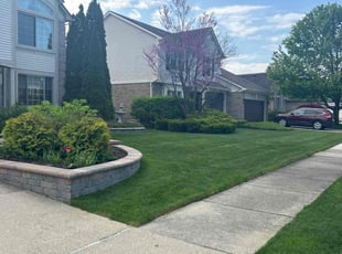 Annesia B.'s Lawn Maintenance service result