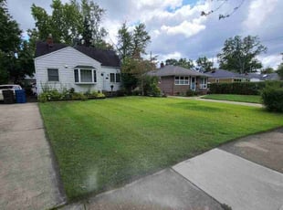 Adam C.'s Lawn Mowing service result